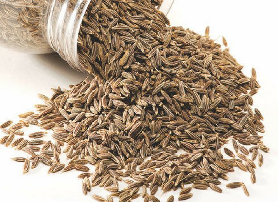 Cumin seeds