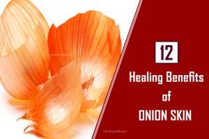 Onion Skin