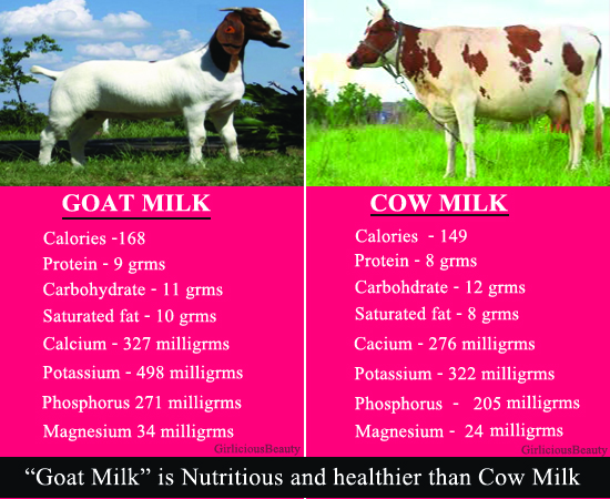 goat milk and cow milk