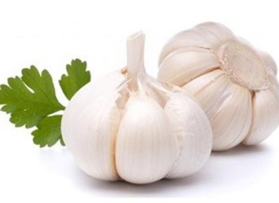 Garlic