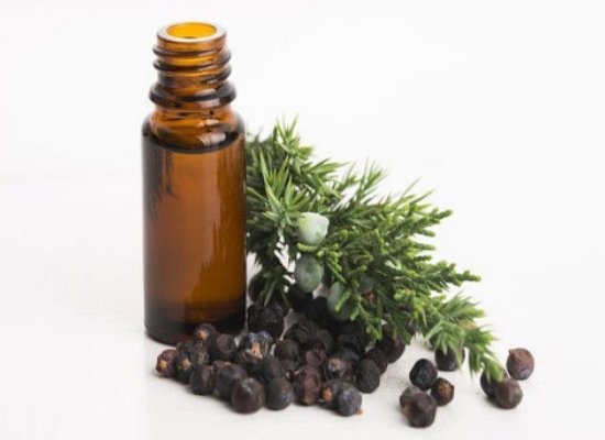 Juniper berry essential oil