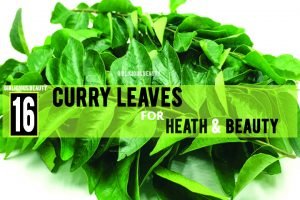 CURRY LEAVES