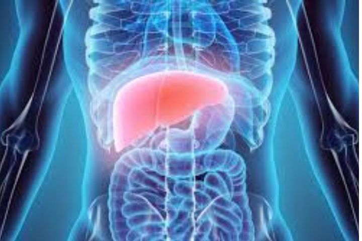 Liver transplant – A Complete  Overview
