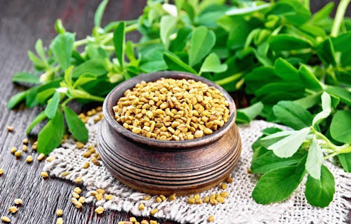 The Benefits of Fenugreek for Hair.