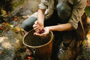 Foraging Food