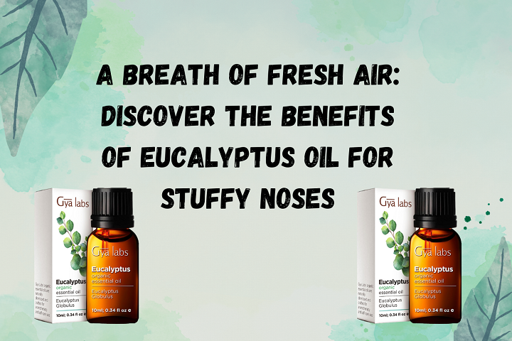 Eucalyptus Oil for Stuffy Noses