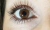 The Real Risks of Using Bad False Eyelashes